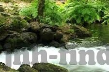 开云登录地址-云服务的创新之旅，开云登录地址的便捷之门