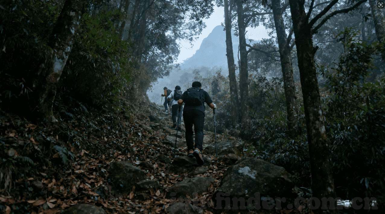 世界杯足球竞猜网站-世界杯足球竞猜，激情与策略的碰撞